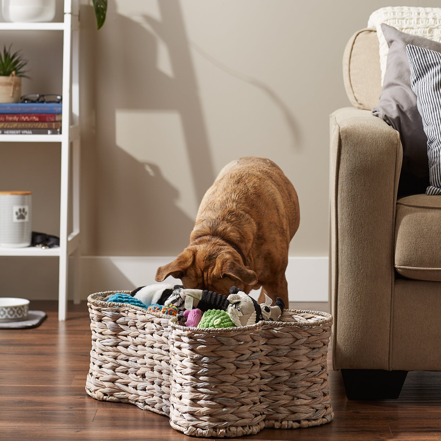 Bone Dry Hyacinth Pet Storage Basket, Bone Shaped, White Wash, Large - 24x15x9"