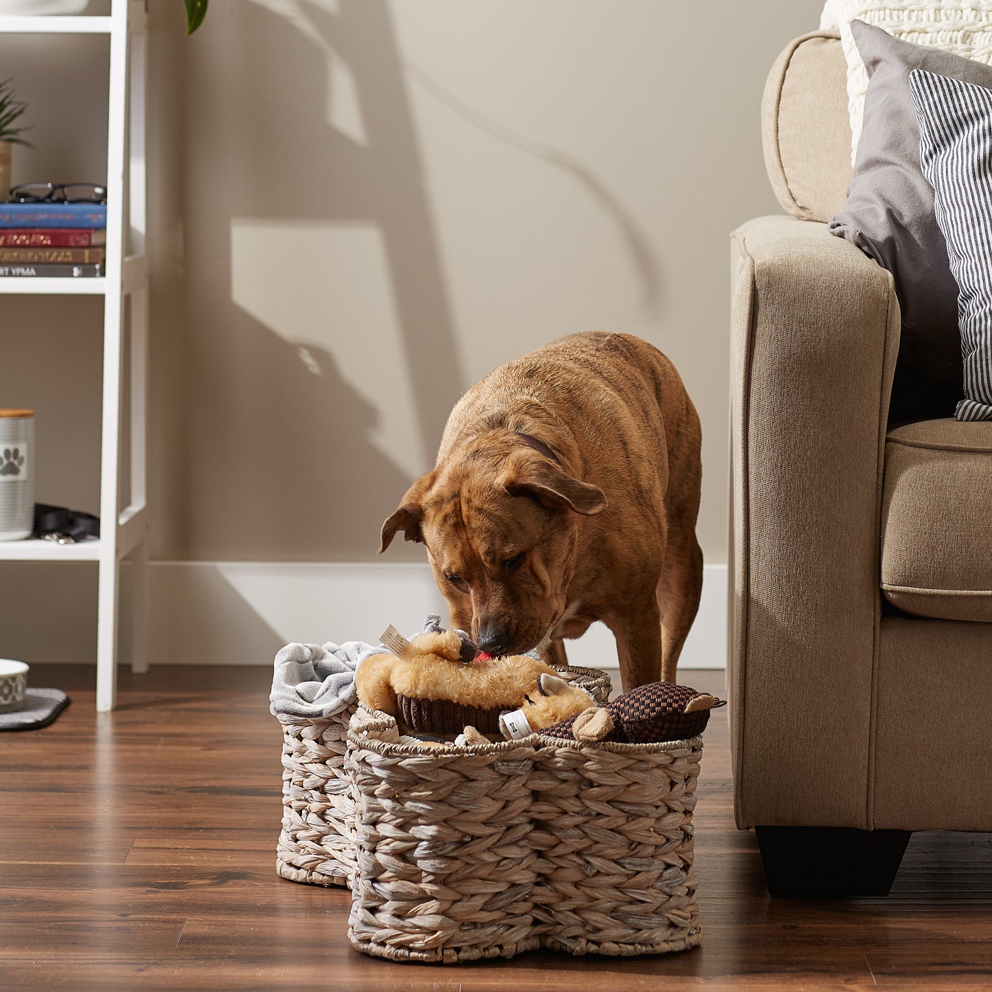 Bone Dry Hyacinth Pet Storage Basket, Bone Shaped, White Wash, Large - 24x15x9"
