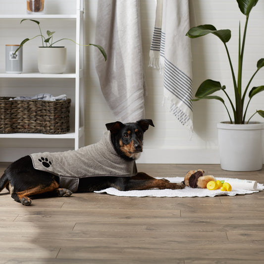 Bone Dry Terry Microfiber Pet Robe, Embroidered Paw Print - Gray - Medium, 20-35 Lbs