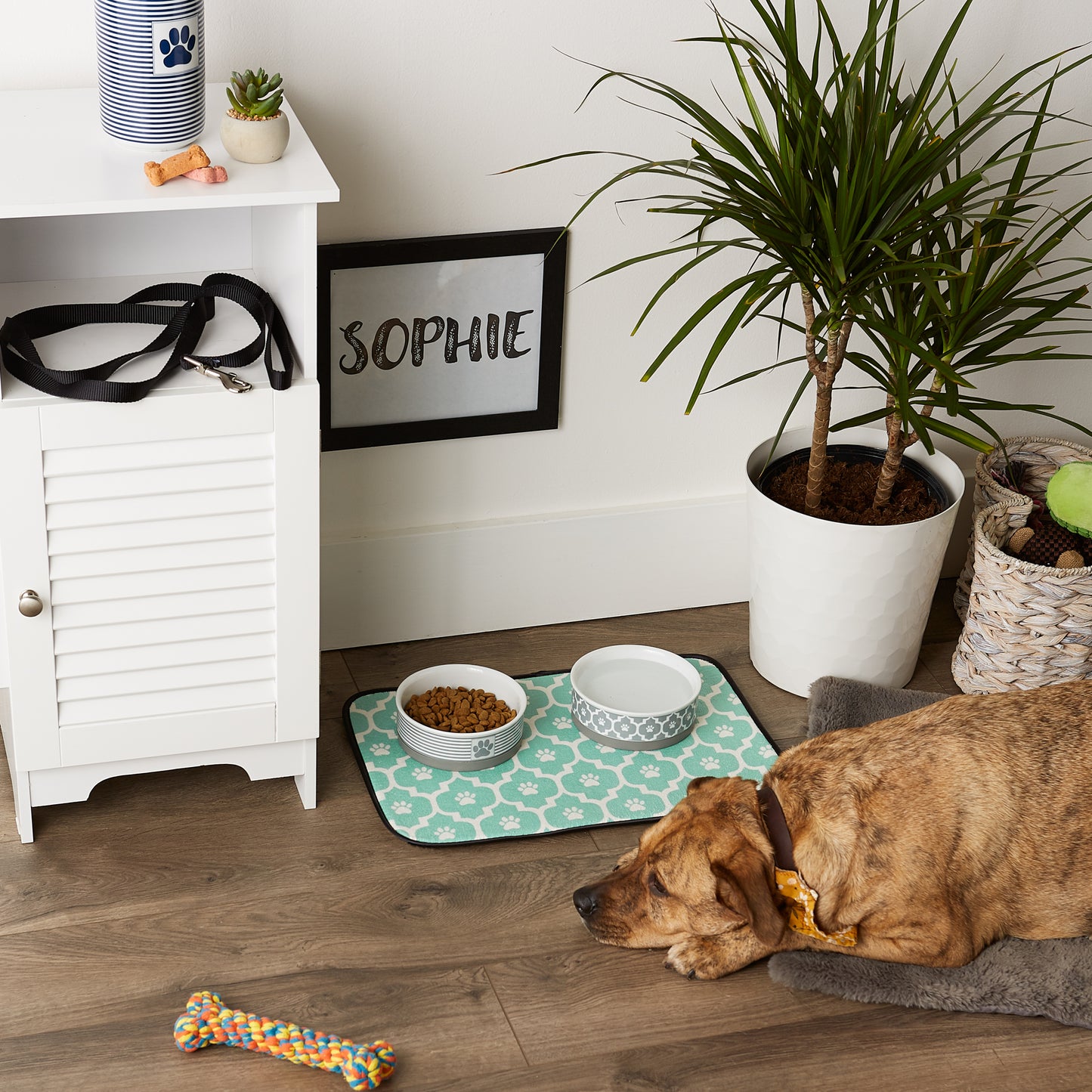 Aqua/Off White Lattice Paw Pet Mat