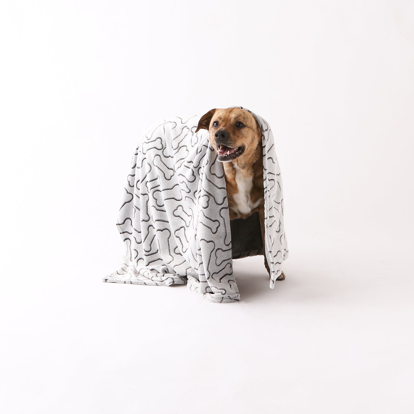 Bone Dry Fleece Pet Blanket, Embossed Bone Print, Black - 36x48"