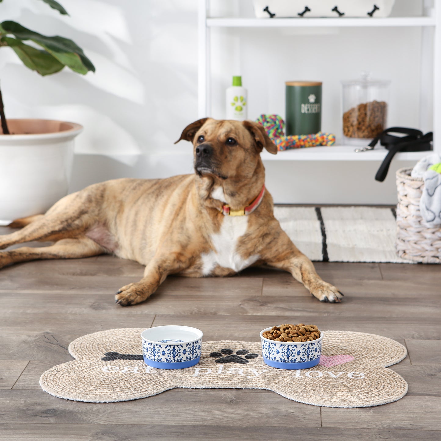 Blue Tile Pet Bowl Set of 2, Small - 3/4 C Capacity