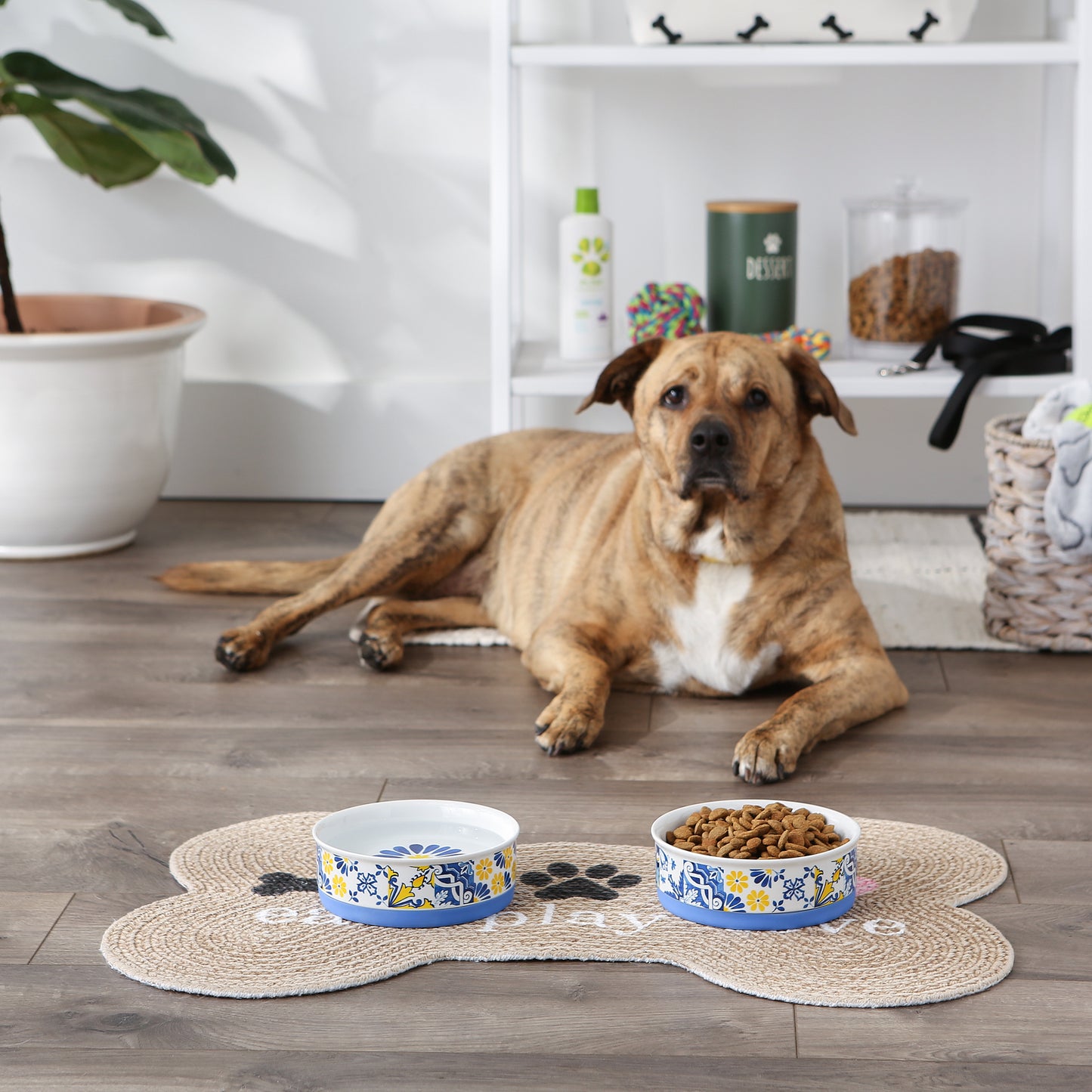 Azulejos Tile Pet Bowl Set of 2, Medium - 1.5 C. Capacity