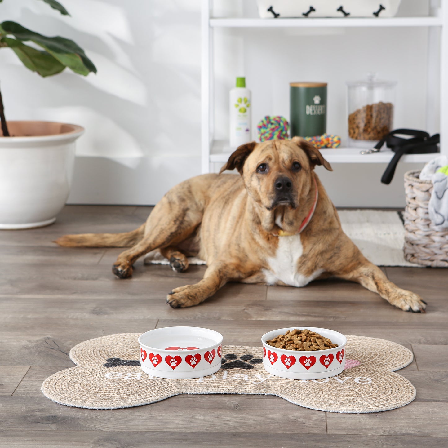 Pet Bowl Heart Paw Medium 6Dx2H Set of 2