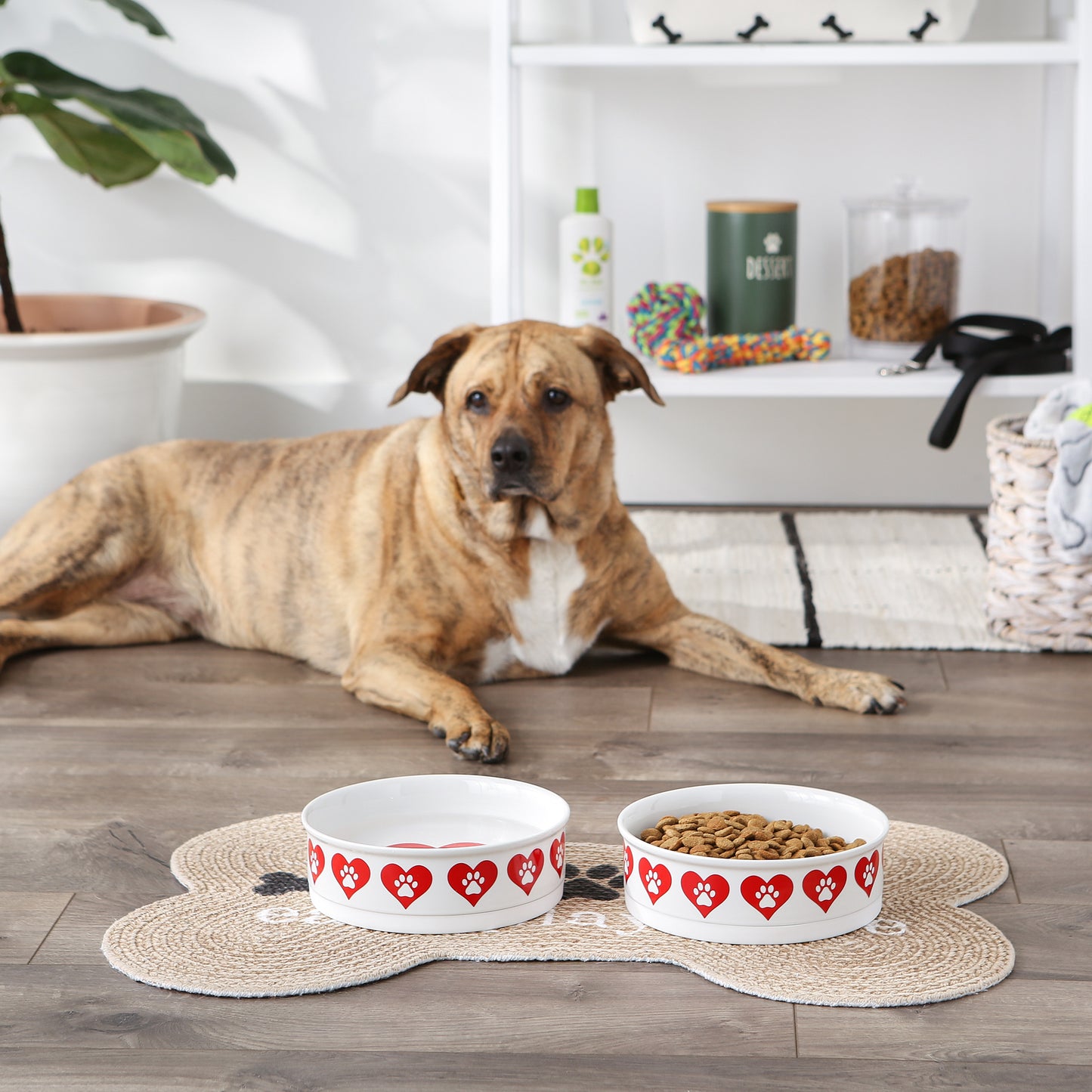 Pet Bowl Heart Paw Large 7.5Dx2.4H Set of 2