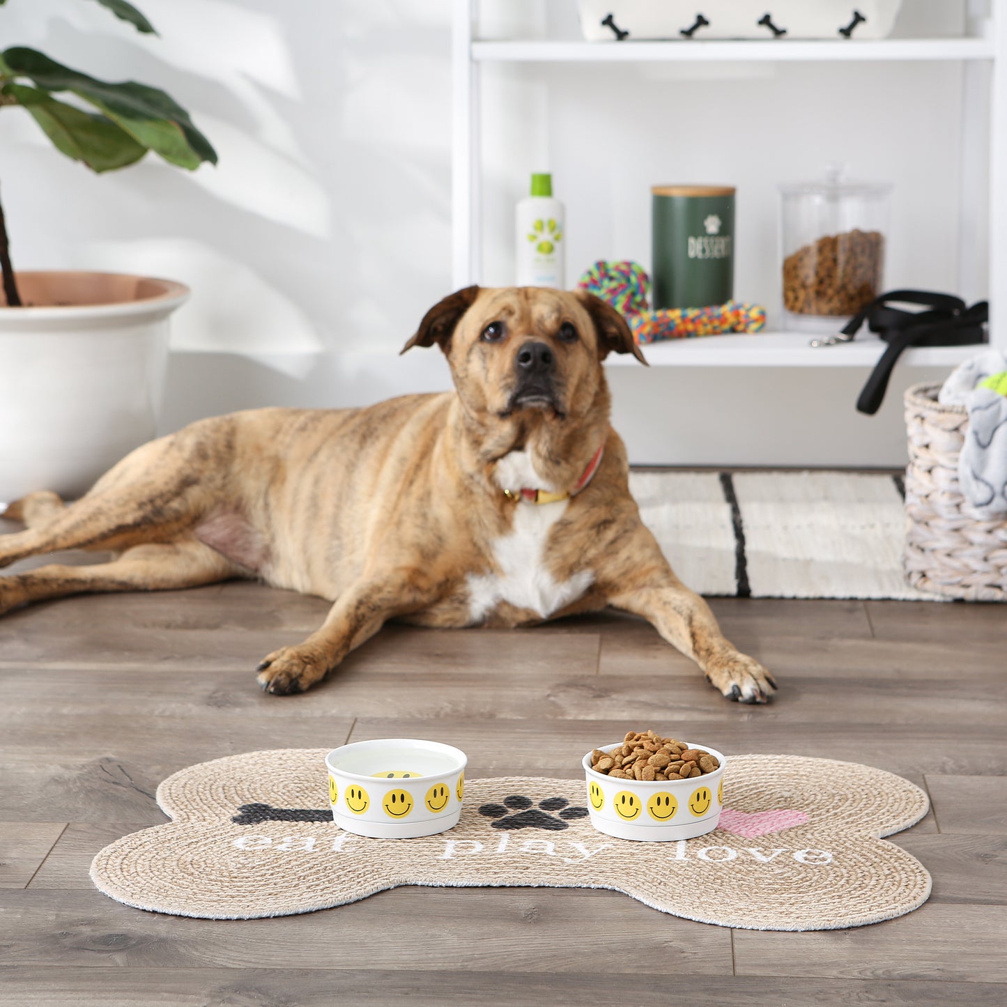 Smiley Face Pet Bowl Set/2, Small - 3/4 C Capacity
