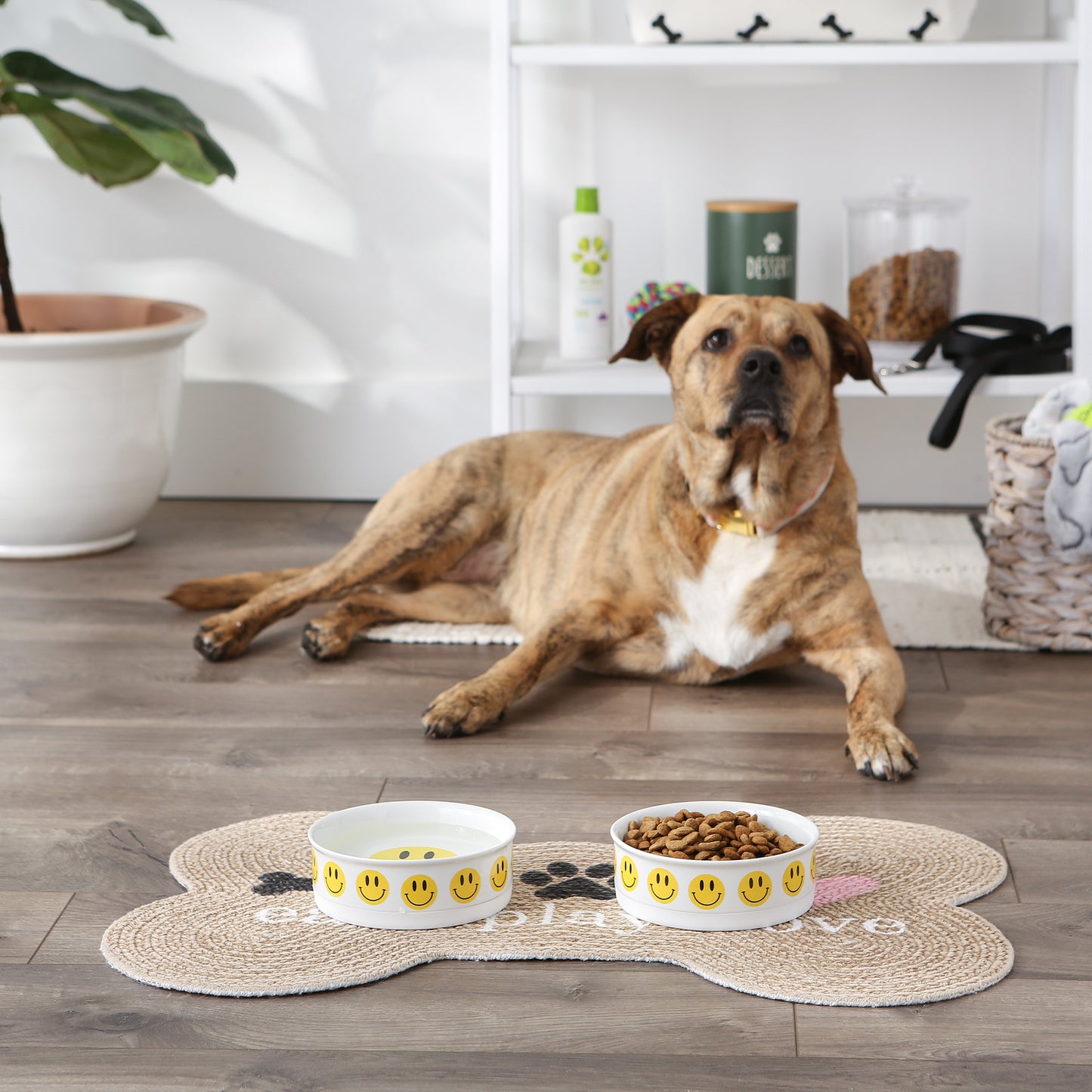 Smiley Face Pet Bowl Set/2, Medium - 1.5 C. Capacity