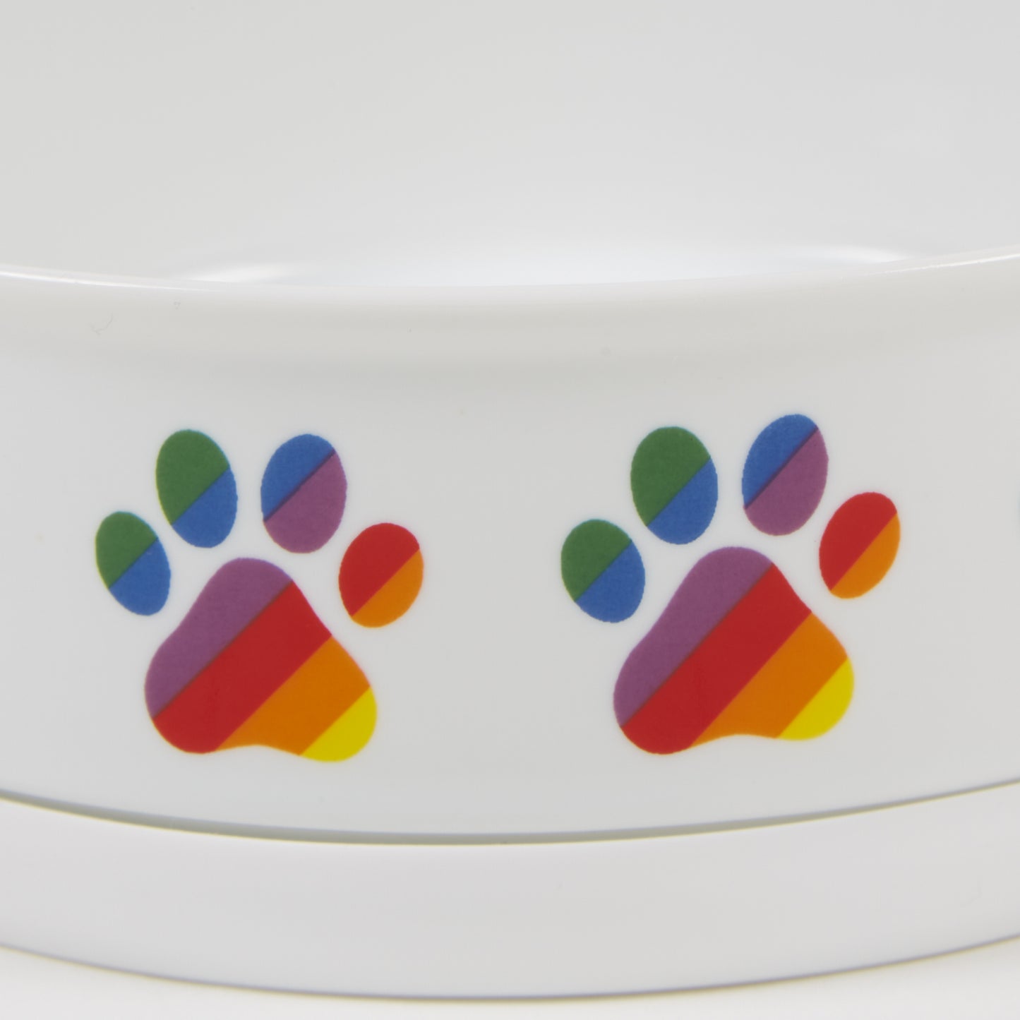 Rainbow Paw Pet Bowl Set/2, Large 3.75 C. Capacity