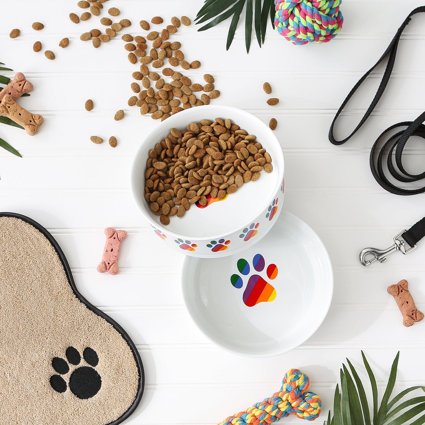 Rainbow Paw Pet Bowl Set/2, Large 3.75 C. Capacity