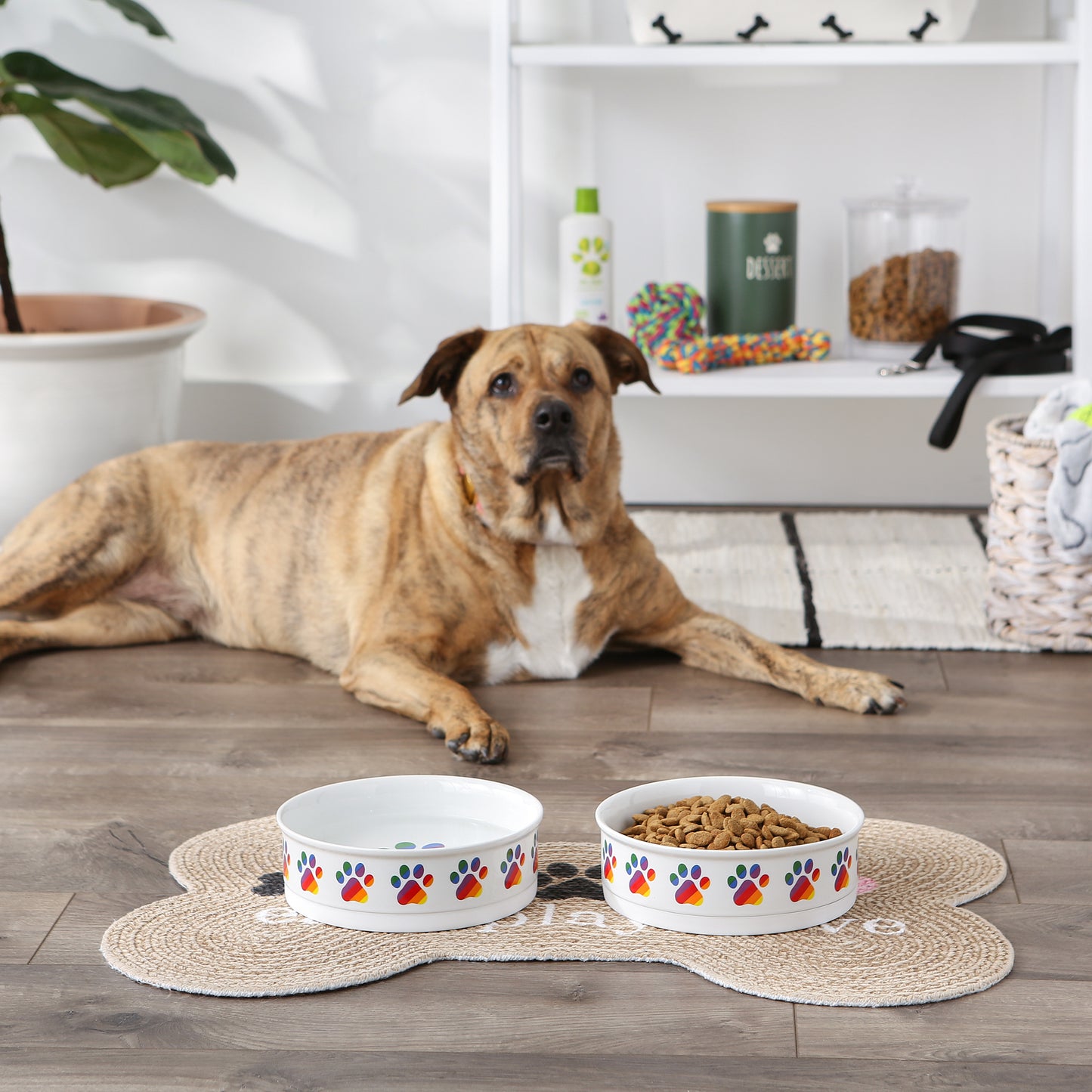 Pet Bowl Rainbow Paw Large 7.5Dx2.4H Set of 2