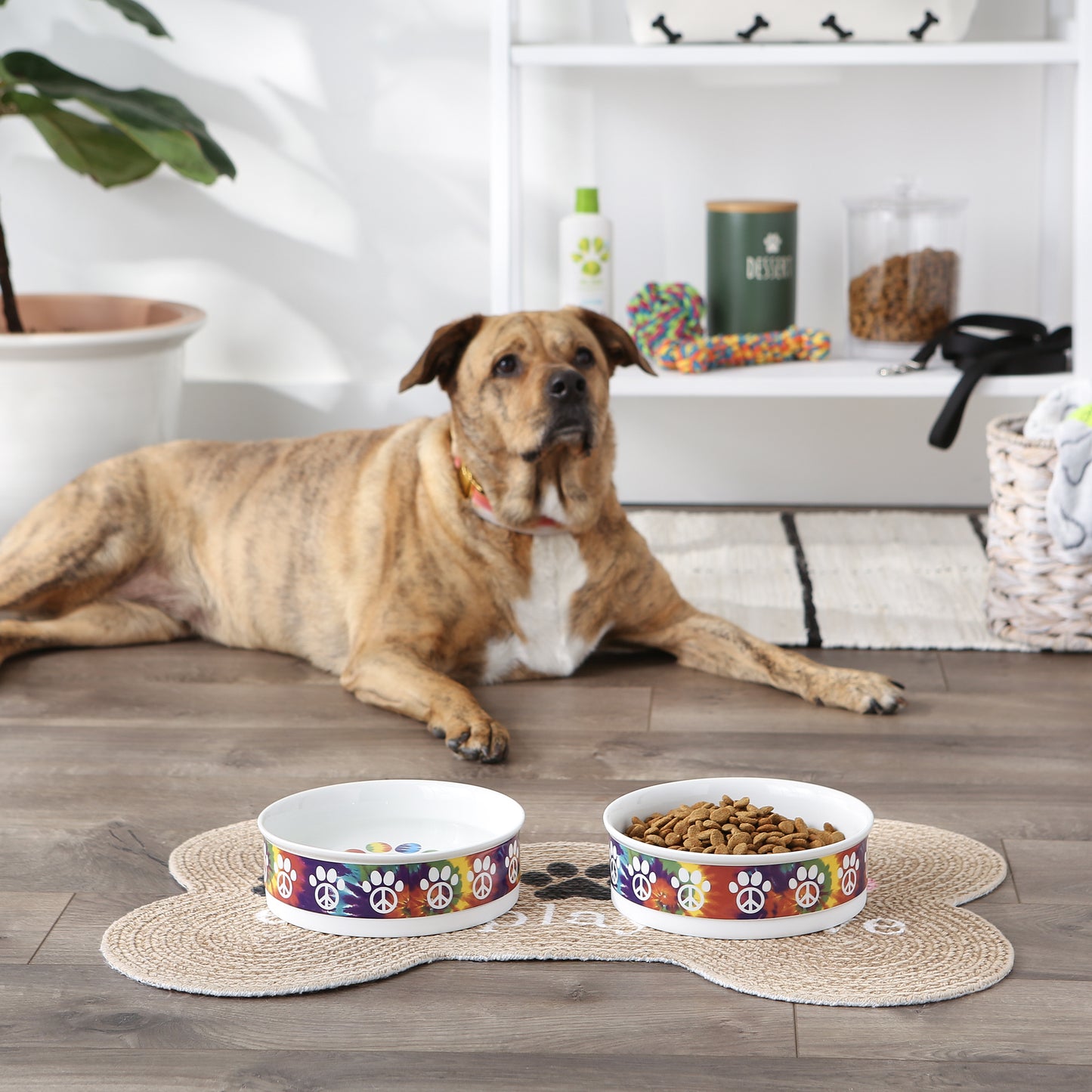 Peace Paw Pet Bowl Set/2, Large 3.75 C. Capacity