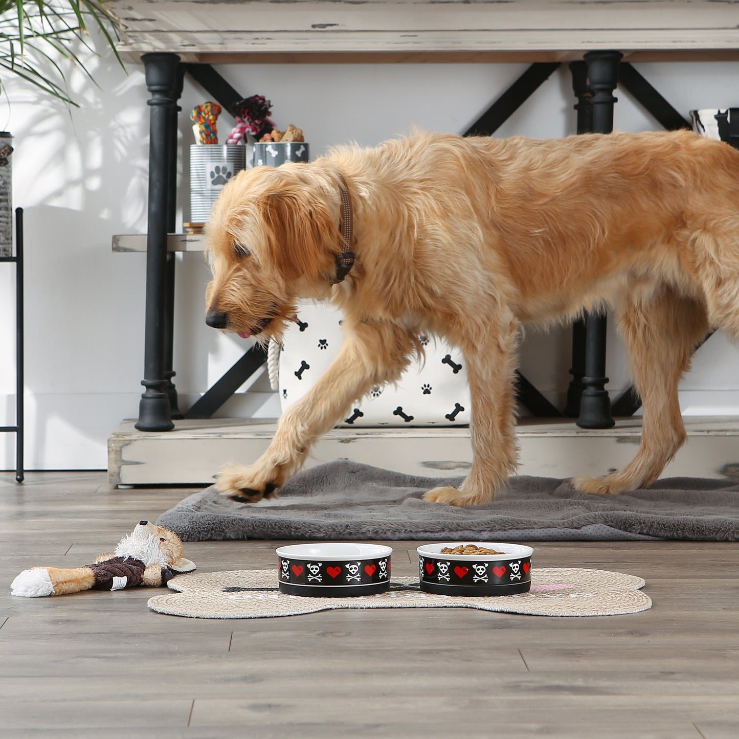 Bad to the Bone Pet Bowl Set of 2, Medium - 1.5 C. Capacity