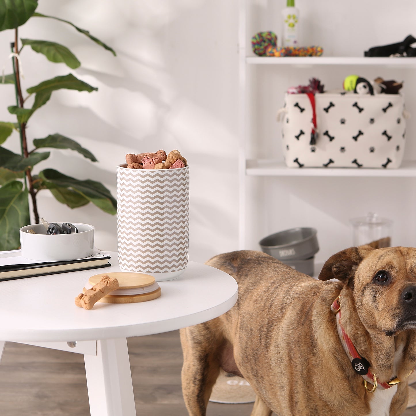 Stone Chevron Ceramic Treat Canister