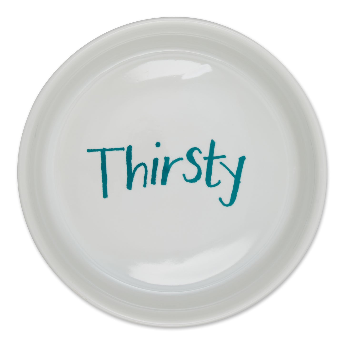 Teal Chevron Pet Bowl Set of 2, Large 3.75 C. Capacity