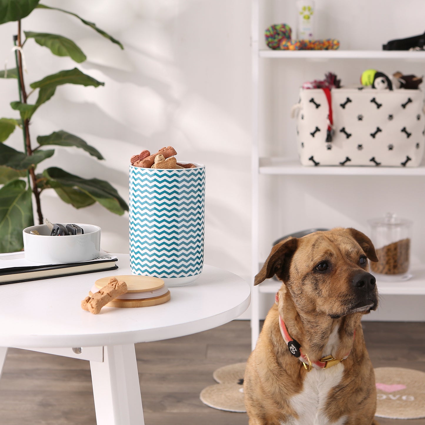 Teal Chevron Ceramic Treat Canister