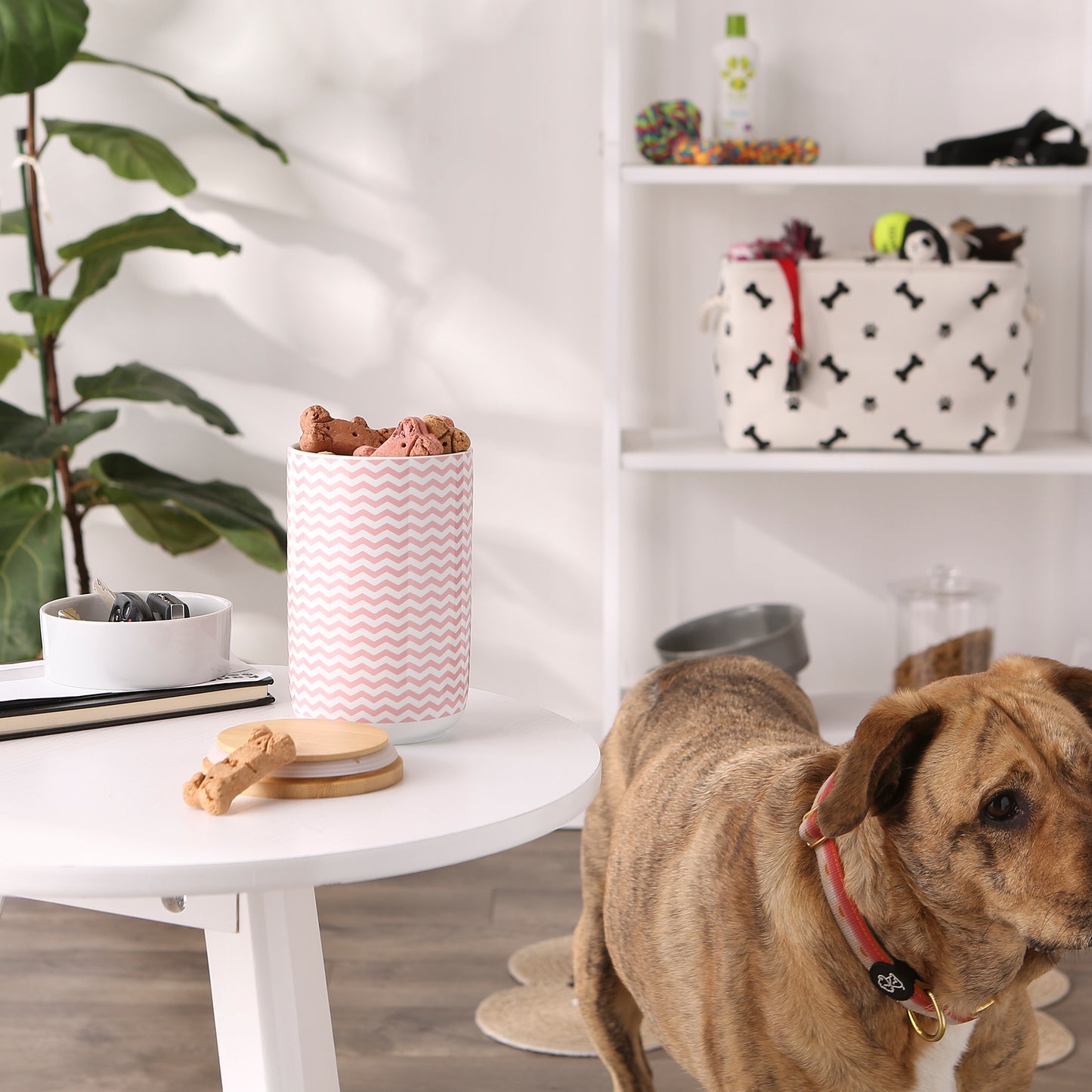 Pink Chevron Ceramic Treat Canister