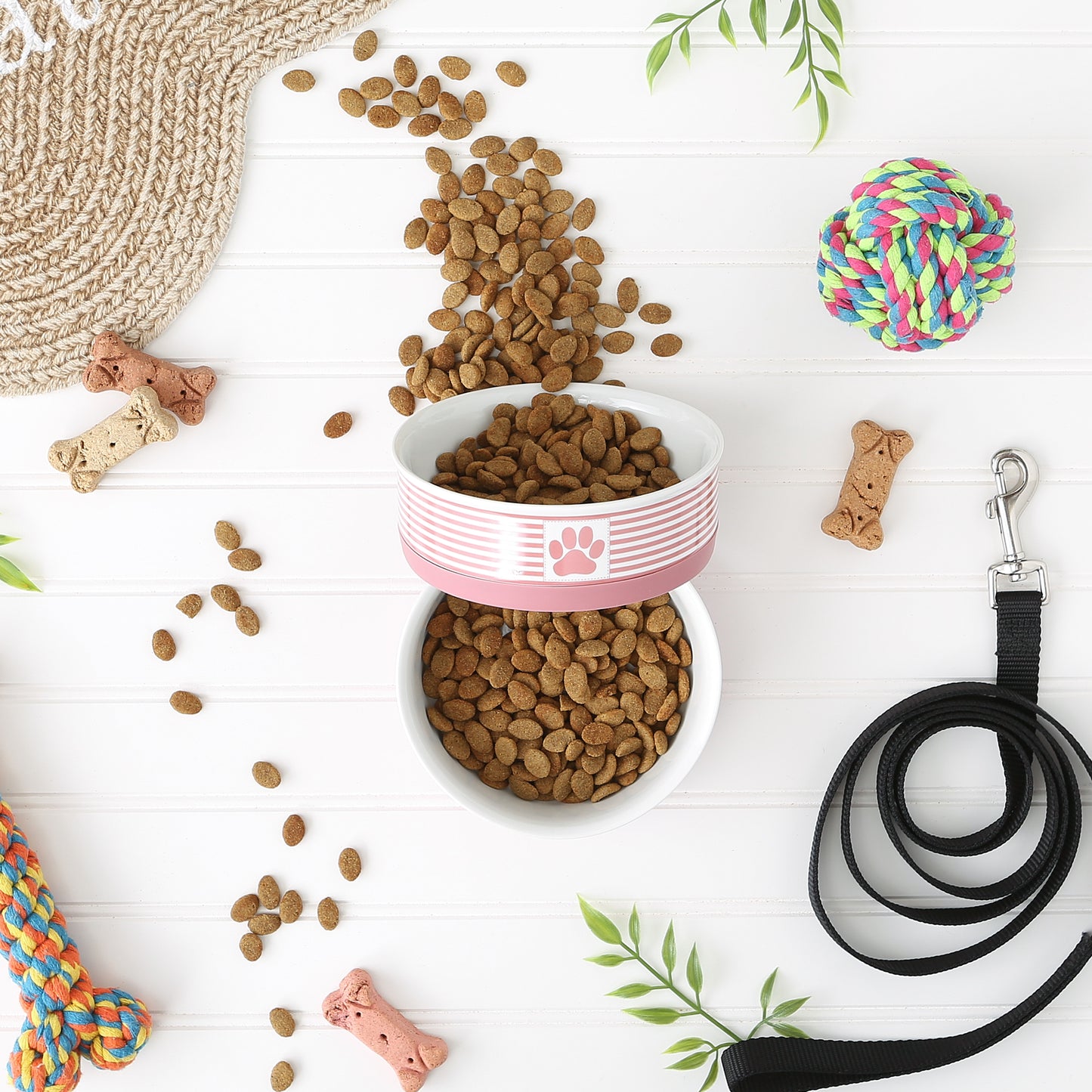 Rose Striped Paw Patch Pet Bowl Set of 2, Medium - 1.5 C. Capacity