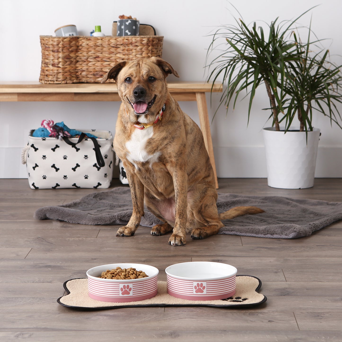 Rose Striped Paw Patch Pet Bowl Set/2, Large 3.75 C. Capacity