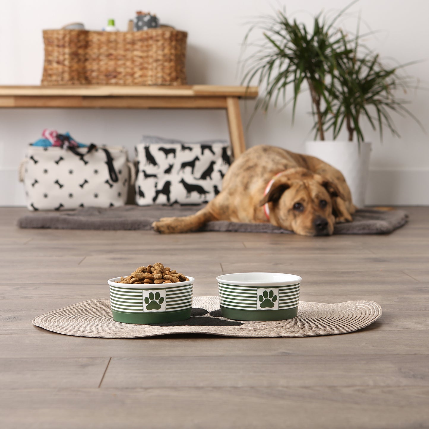 Hunter Green Striped Paw Patch Pet Bowl Set/2, Small - 3/4 C Capacity