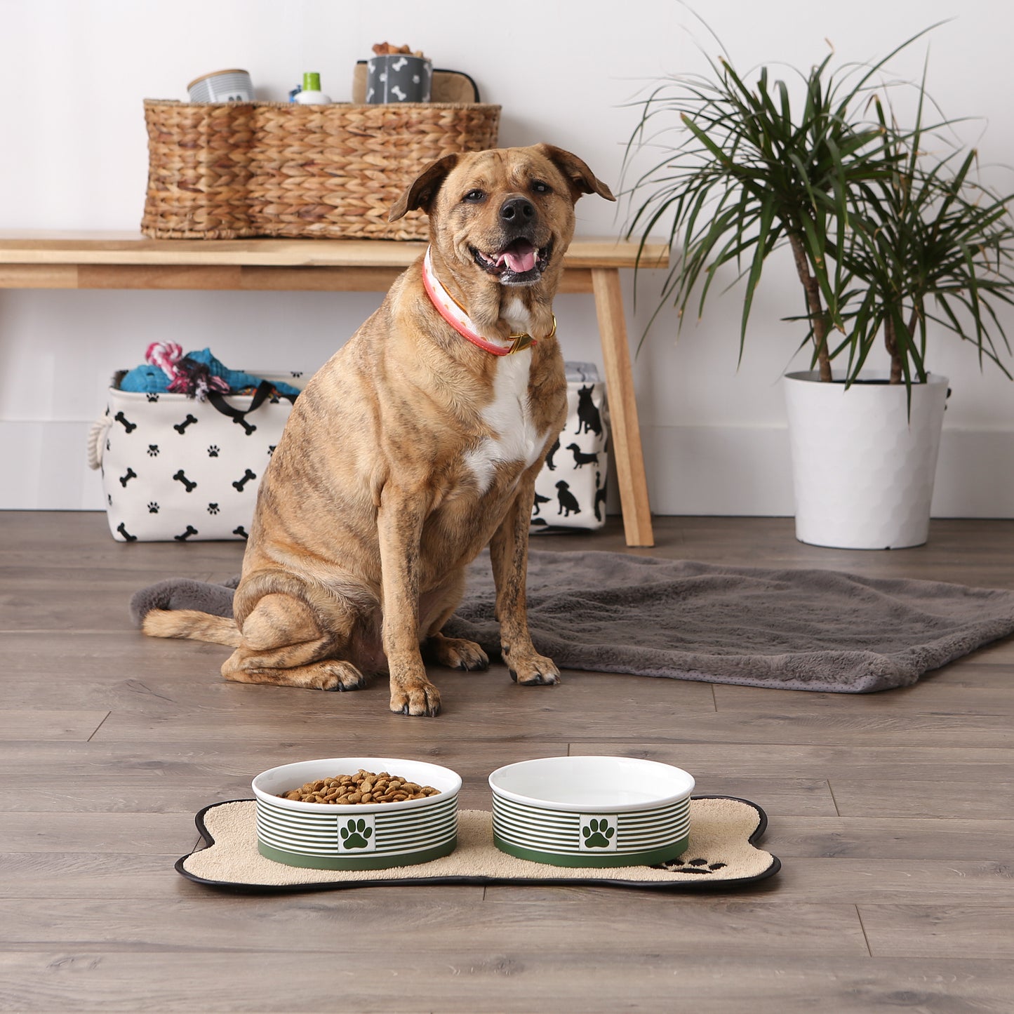 Pet Bowl Paw Patch Stripe Hunter Green Large 7.5Dx2.4H Set of 2
