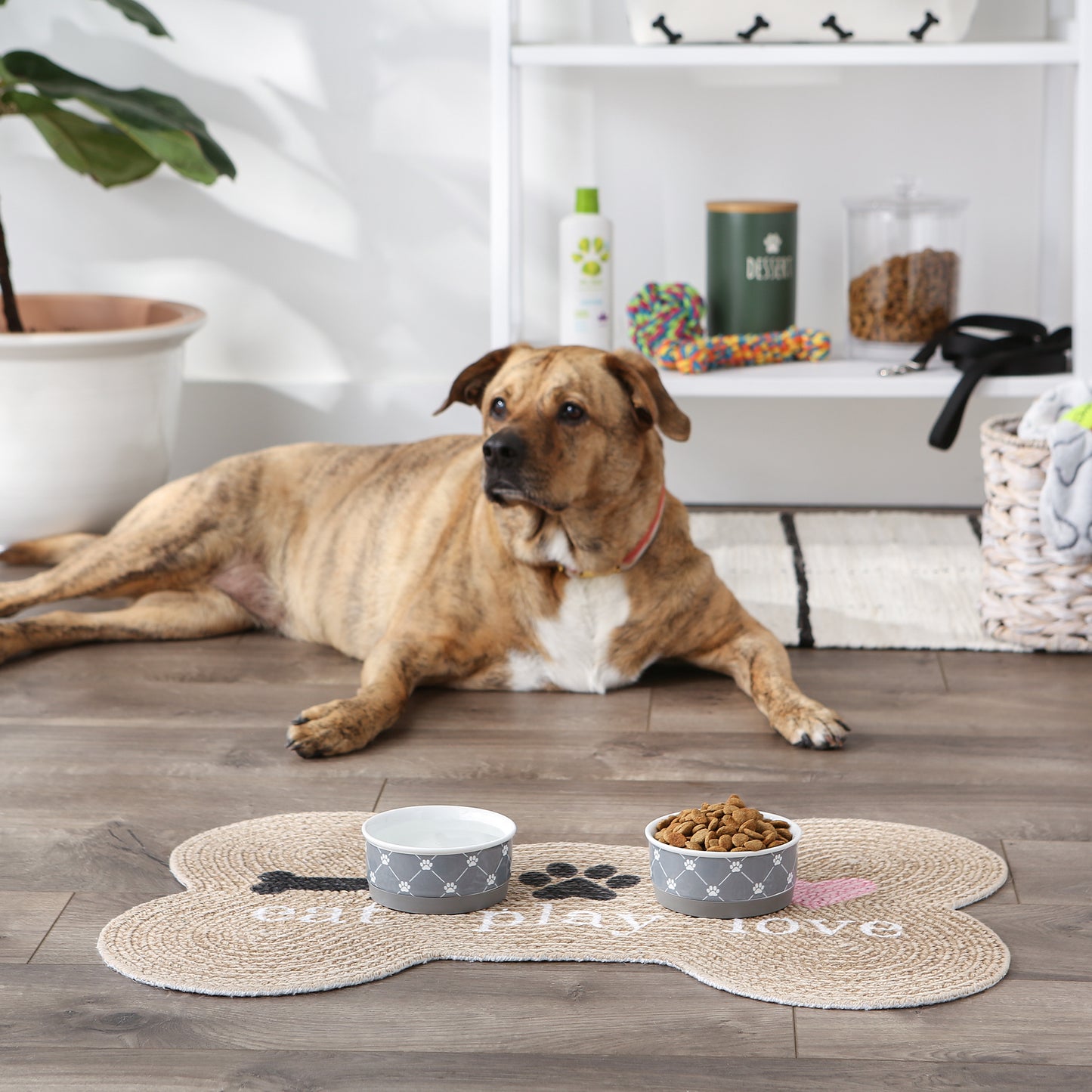 Gray Trellis Paw Print Pet Bowl Set/2, Small - 3/4 C Capacity