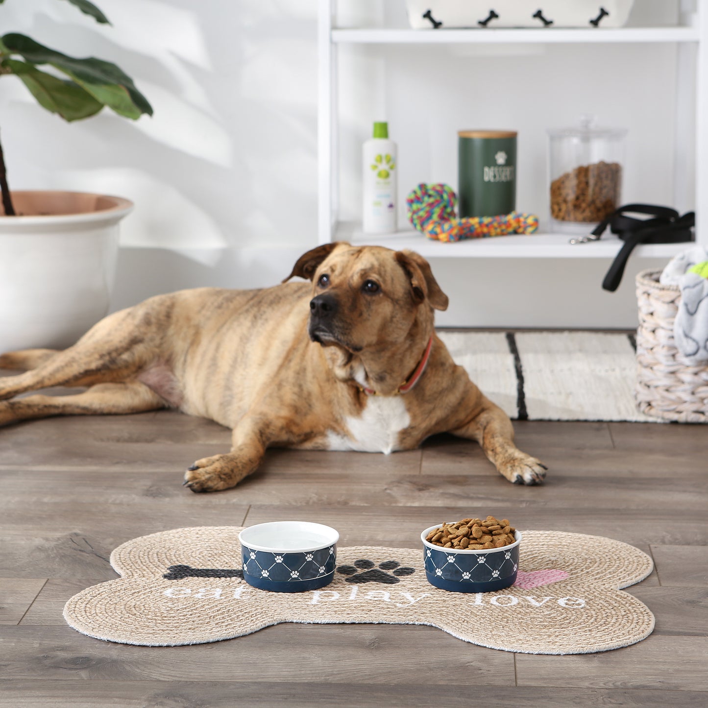 Navy Trellis Paw Print Pet Bowl Set/2, Small - 3/4 C Capacity