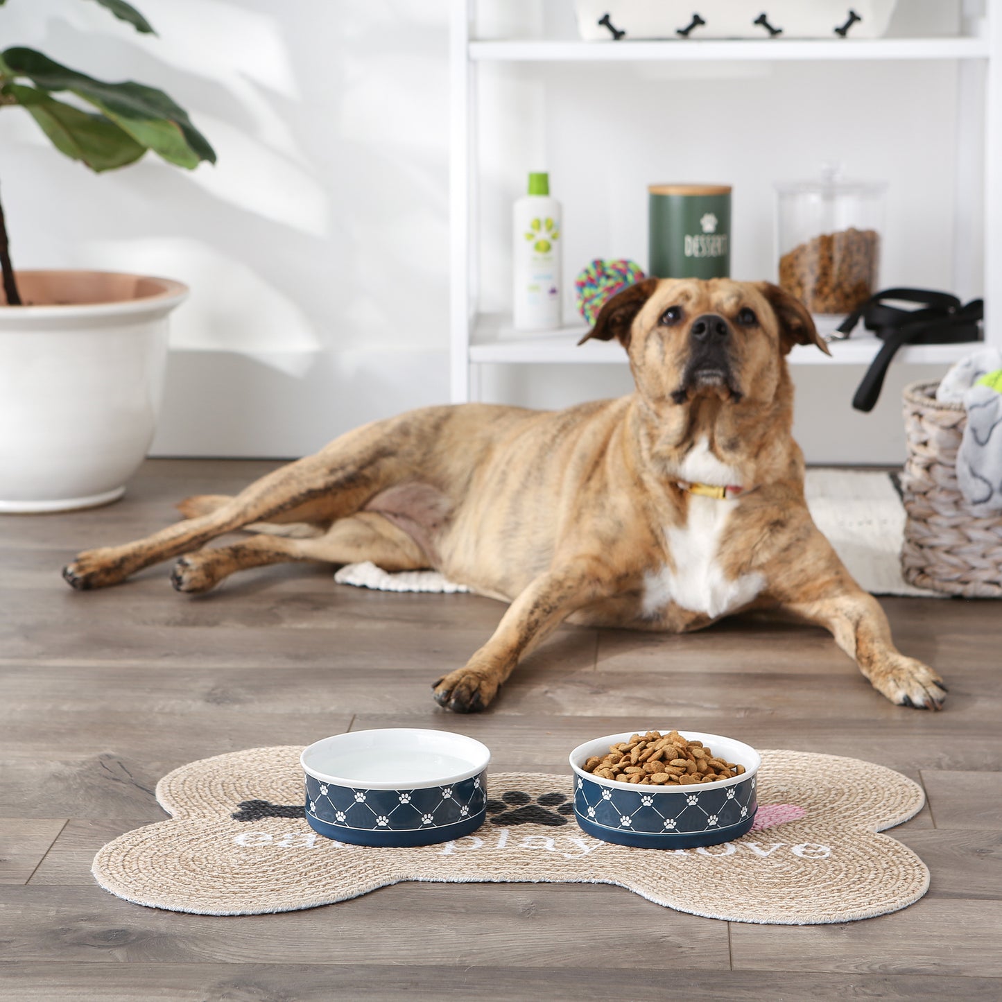 Navy Trellis Paw Print Pet Bowl Set/2, Medium - 1.5 C. Capacity