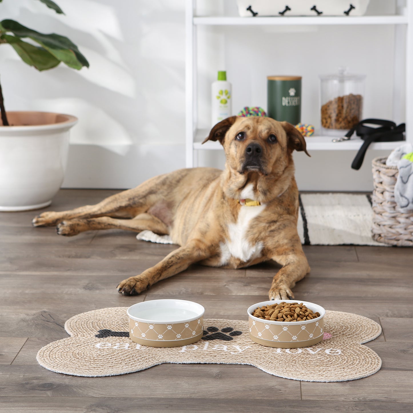 Taupe Trellis Paw Print Pet Bowl Set/2, Medium - 1.5 C. Capacity