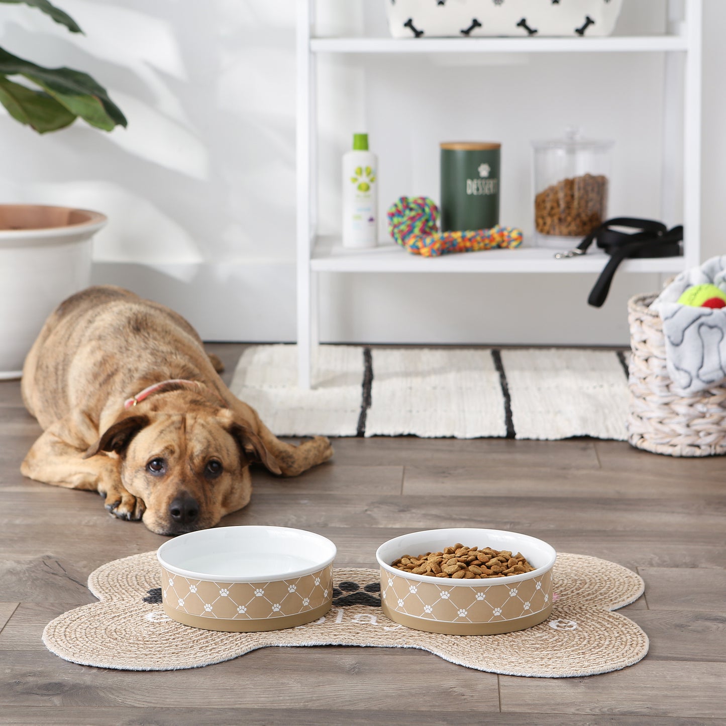 Pet Bowl Trellis Paw Taupe Large 7.5Dx2.4H Set of 2