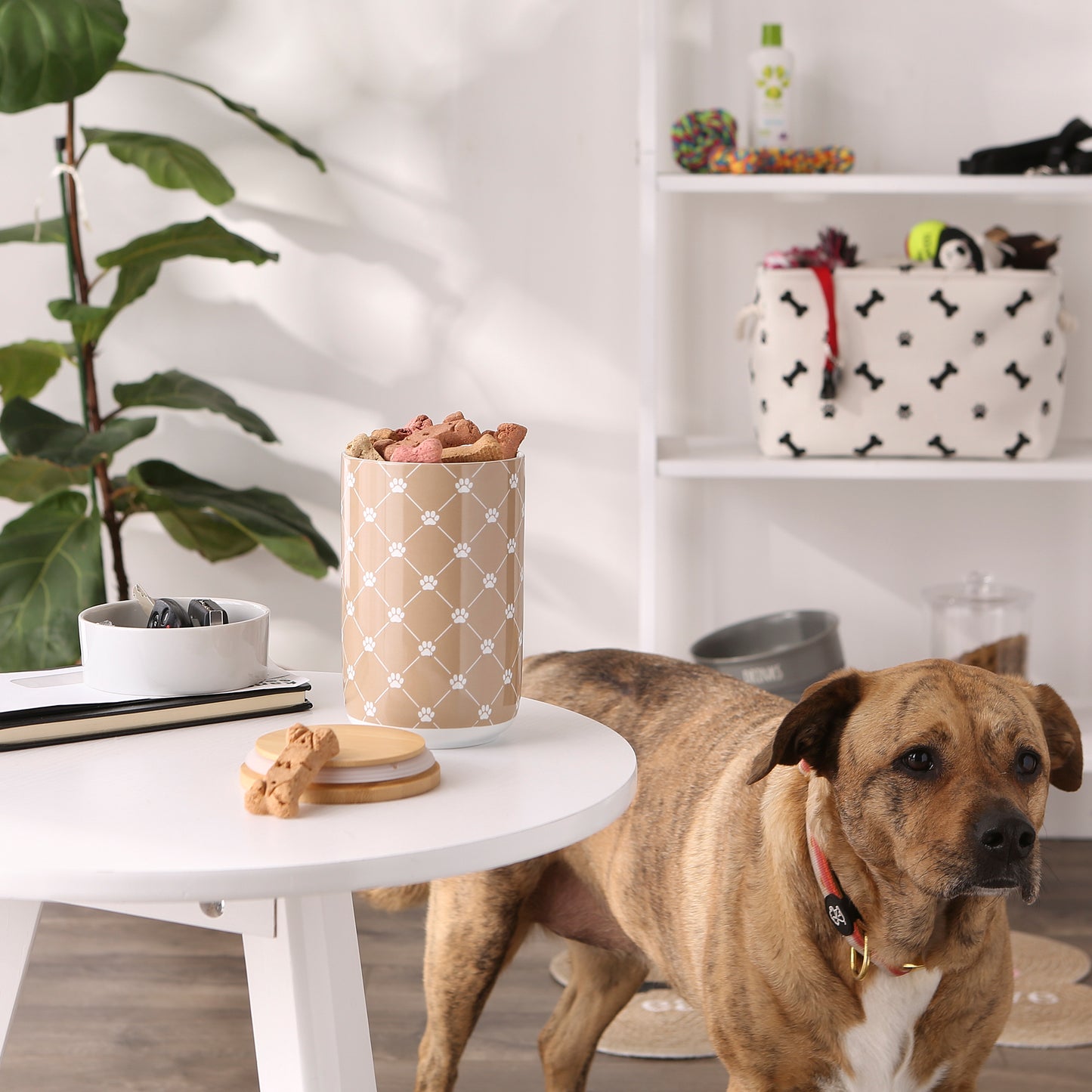 Taupe Trellis Paw Ceramic Treat Canister