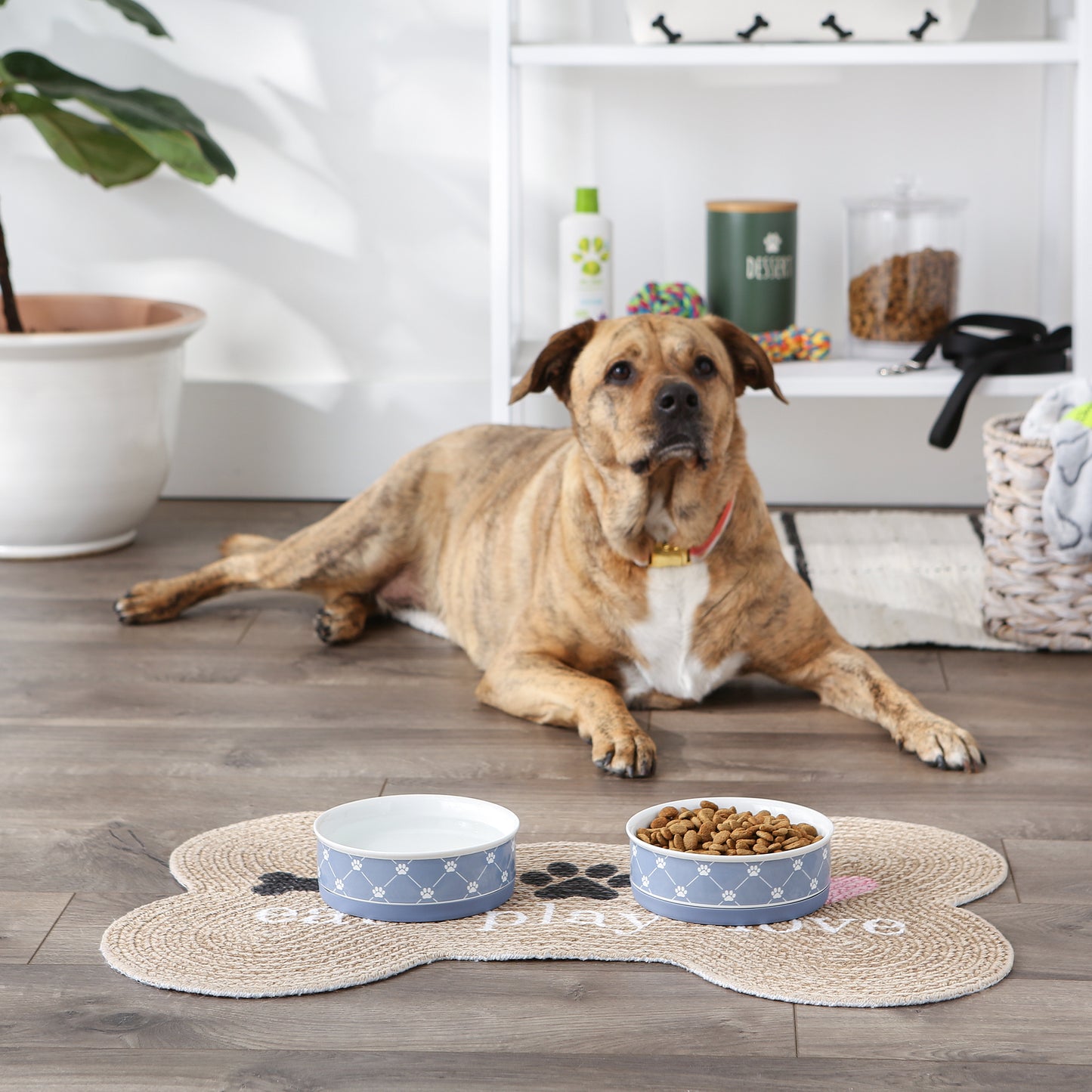 Pet Bowl Trellis Paw Stonewash Blue Medium 6Dx2H Set of 2