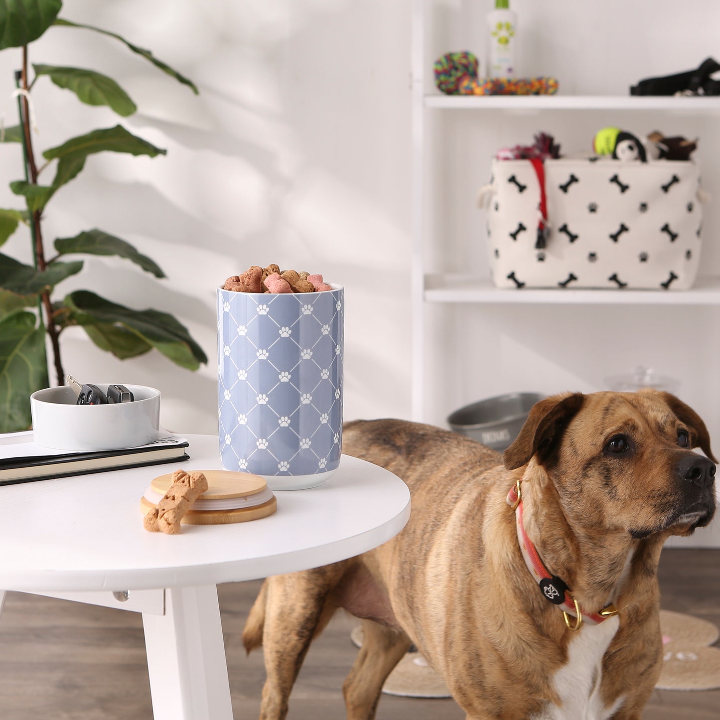 Stonewash Blue Trellis Paw Ceramic Treat Canister