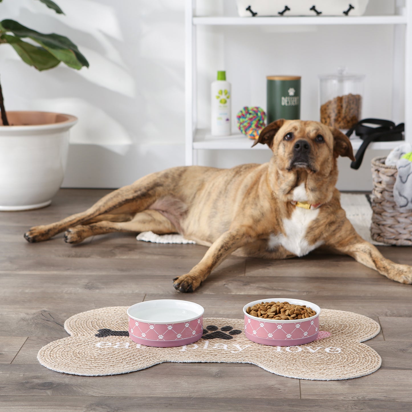 Rose Trellis Paw Print Pet Bowl Set/2, Medium - 1.5 C. Capacity