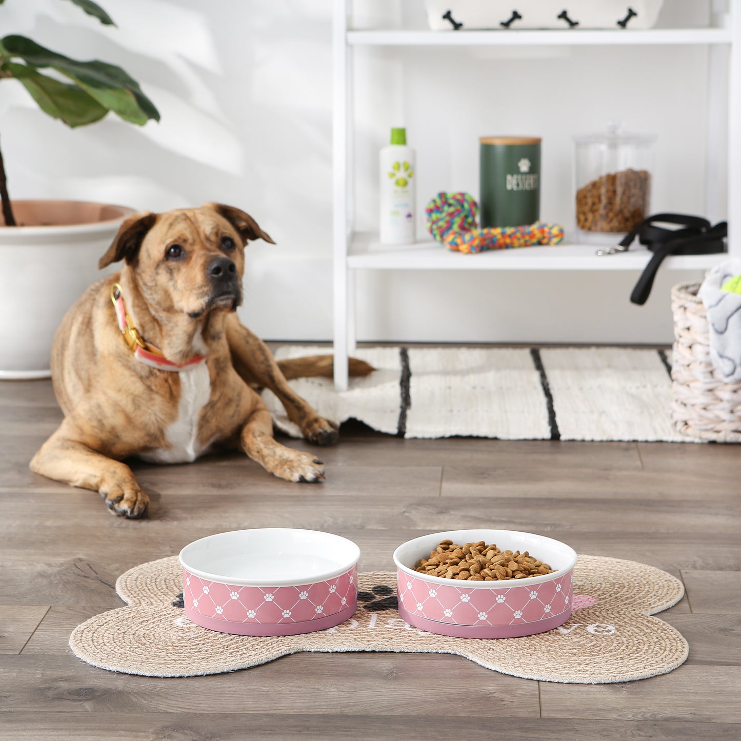 Rose Trellis Paw Print Pet Bowl Set/2, Large 3.75 C. Capacity