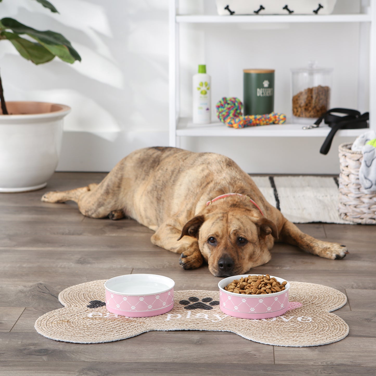 Bubblegum Trellis Paw Print Pet Bowl Set/2, Medium - 1.5 C. Capacity