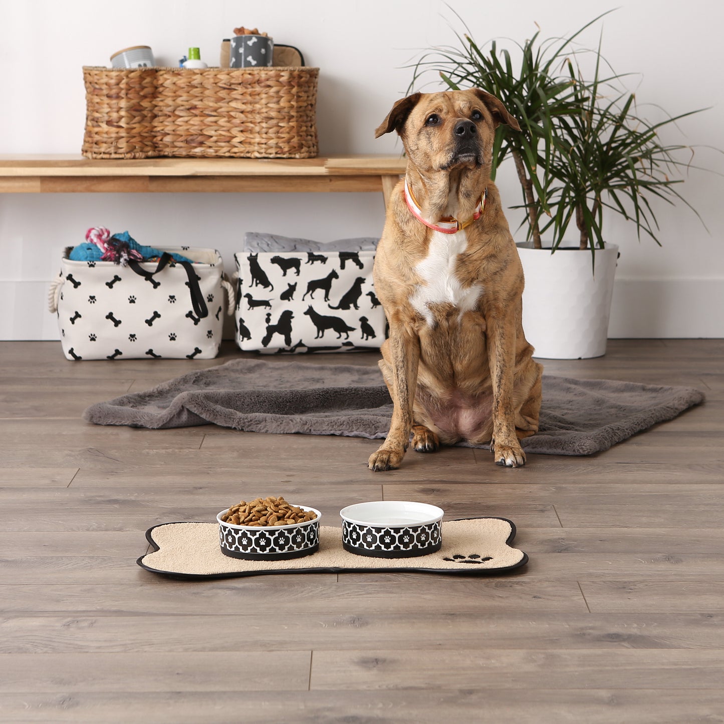 Black Lattice Paw Print Pet Bowl Set/2, Medium - 1.5 C. Capacity
