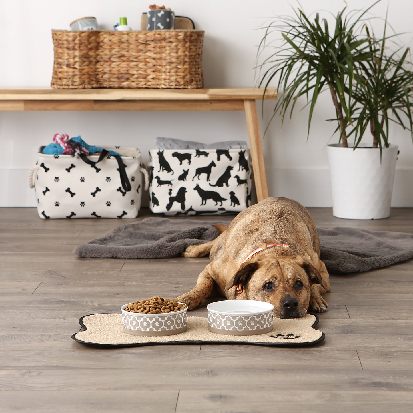 Pet Bowl Lattice Stone Medium 6Dx2H Set of 2