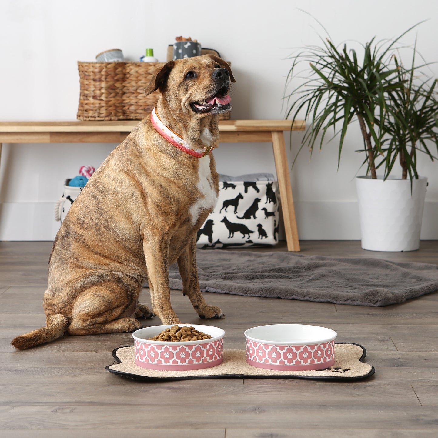 Rose Lattice Paw Print Pet Bowl Set of 2, Large 3.75 C. Capacity