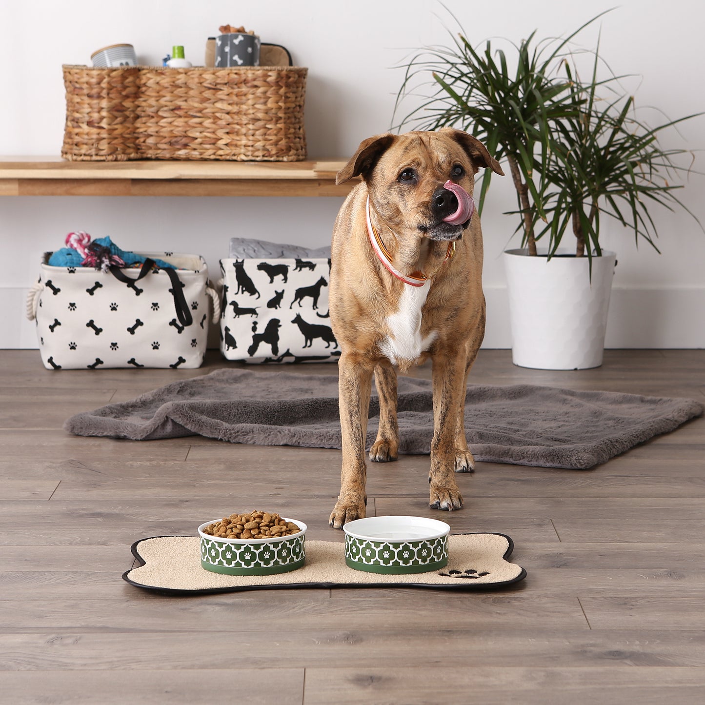 Pet Bowl Lattice Hunter Green Medium 6Dx2H Set of 2