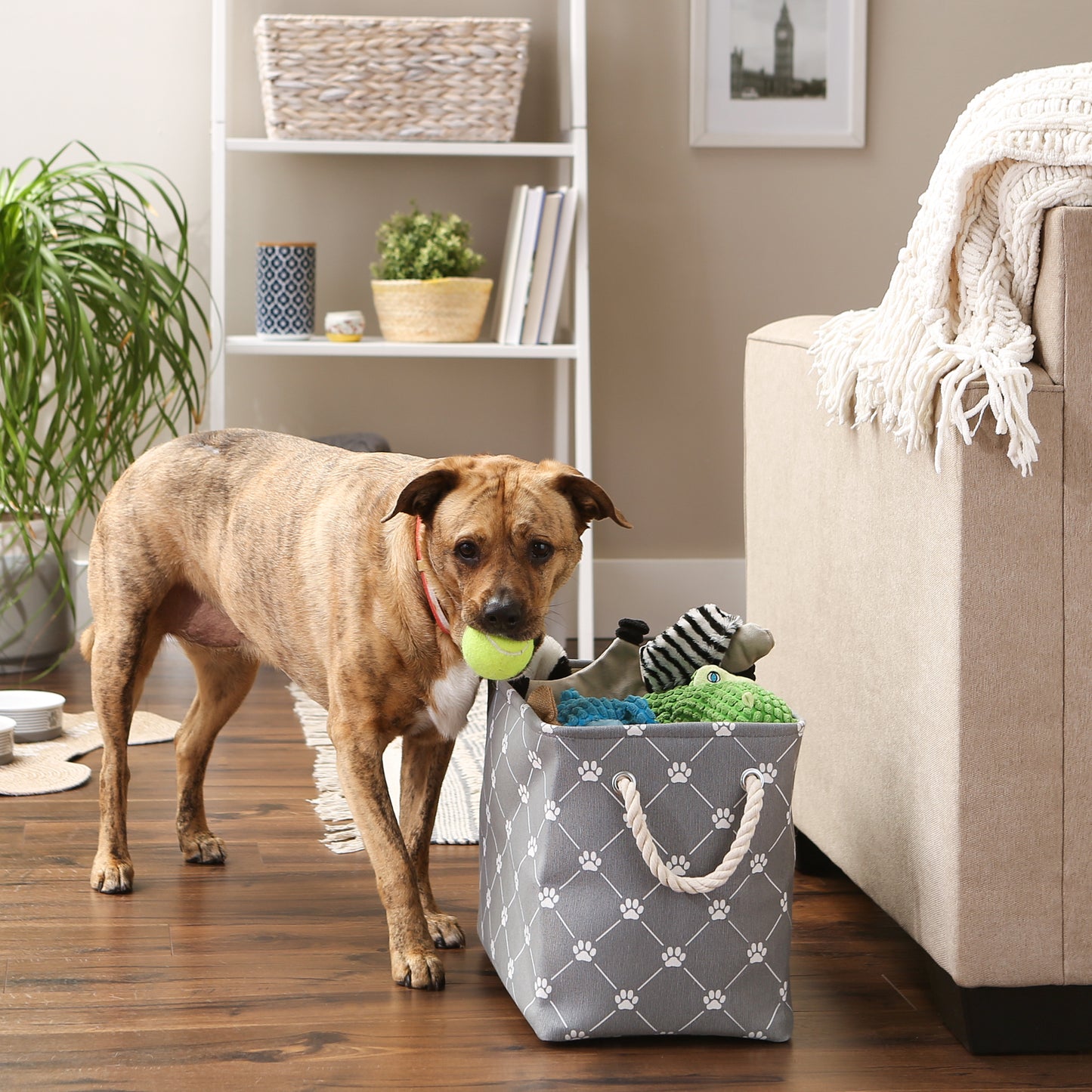 Bone Dry Collapsible Pet Storage Bin, Trellis Paw Print, Gray, Medium - 16x10x12"