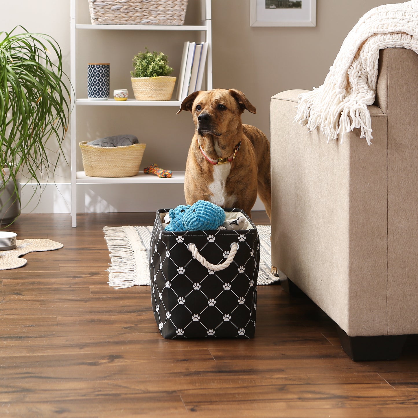 Bone Dry Collapsible Pet Storage Bin, Trellis Paw Print, Black, Medium - 16x10x12"