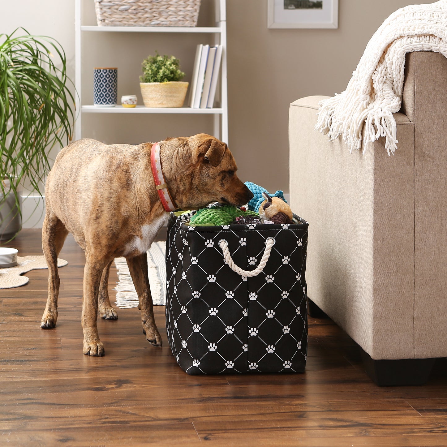 Bone Dry Collapsible Pet Storage Bin, Trellis Paw Print, Black, Large - 17.5x12x15"