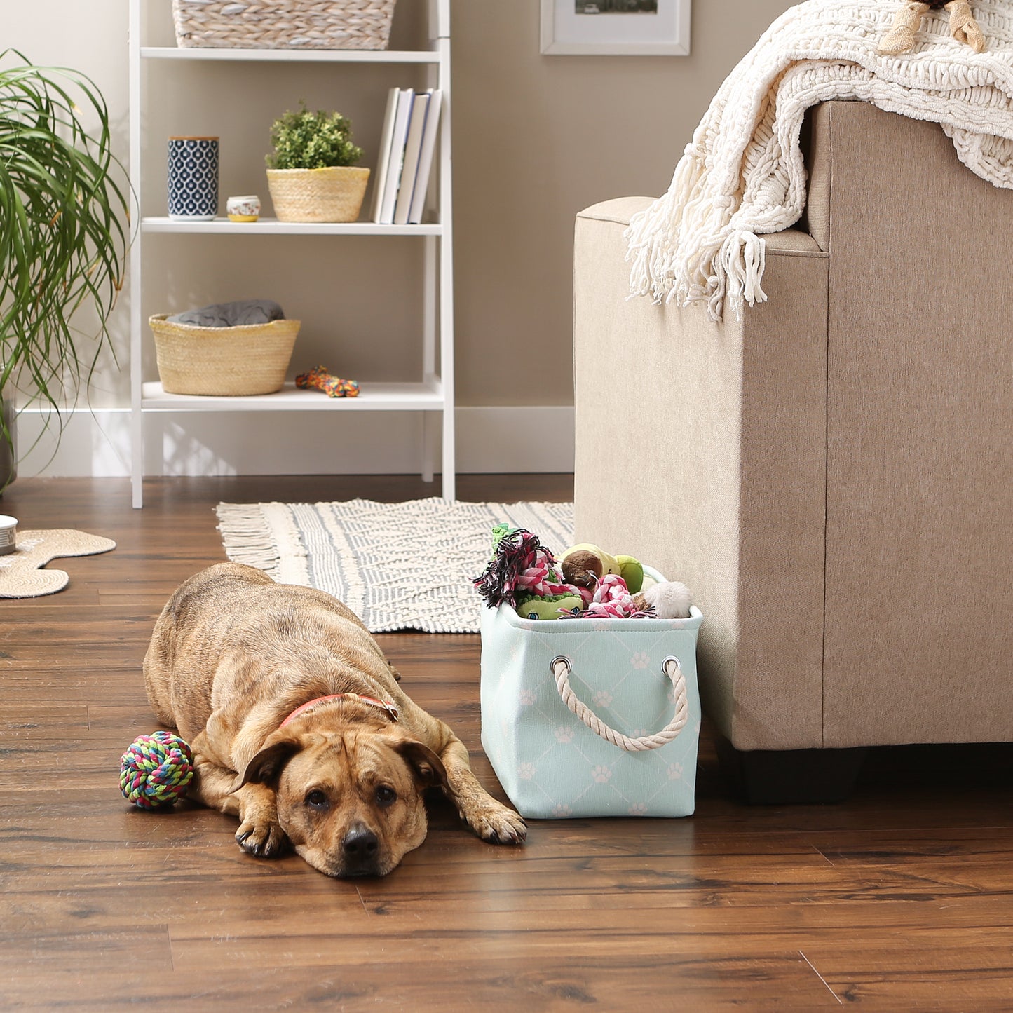Bone Dry Collapsible Pet Storage Bin, Trellis Paw Print, Aqua, Small - 14x8x9"
