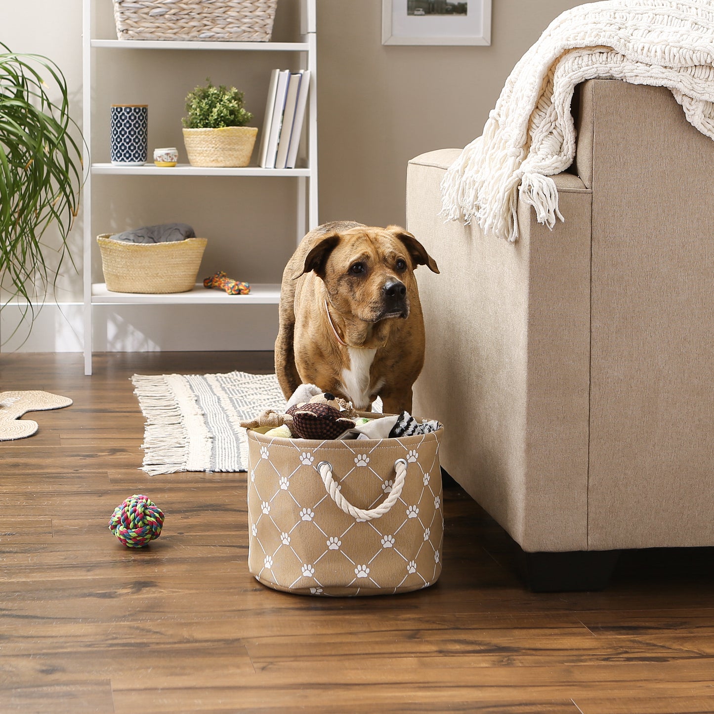 Collapsible Pet Storage Collapsible Bin, Trellis Paw Print, Taupe, Small Round - 12x9"