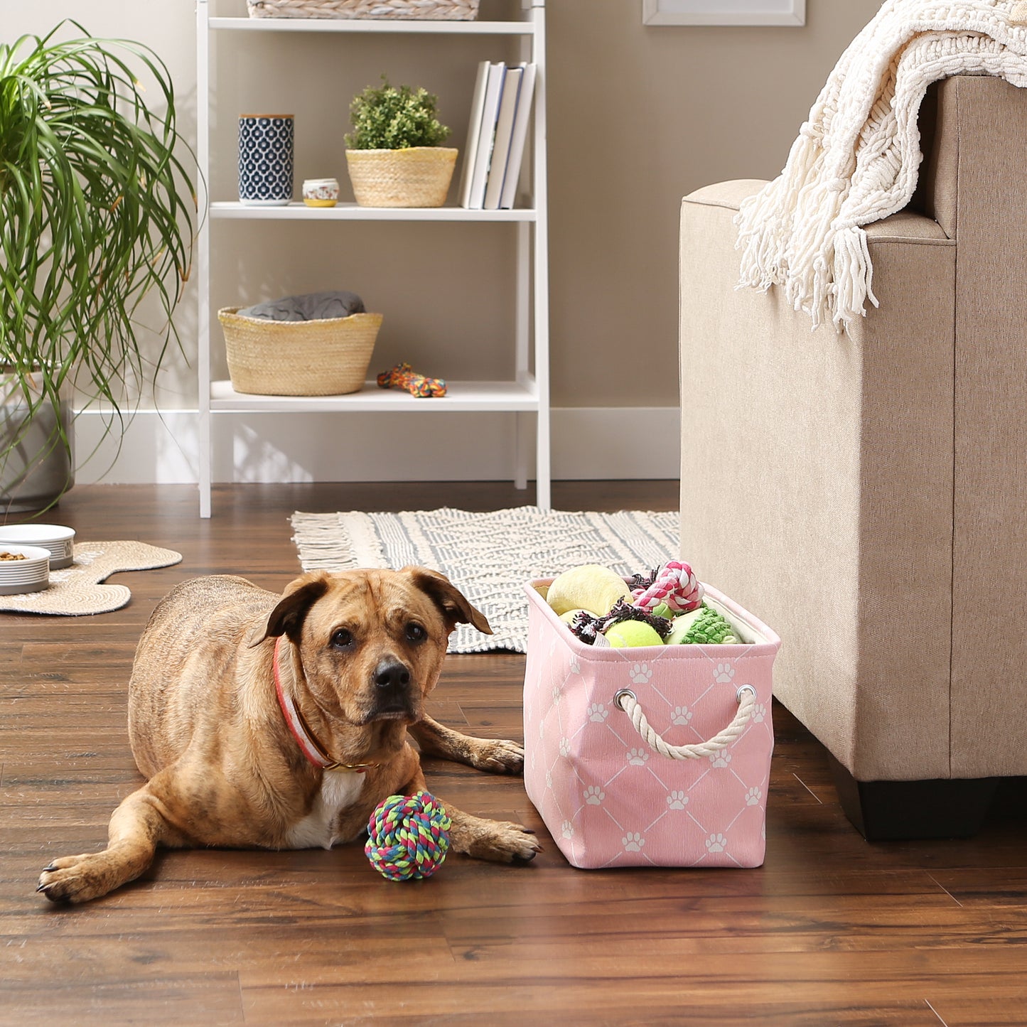 Collapsible Pet Storage Bin, Trellis Paw Print, Pink, Small - 14x8x9"