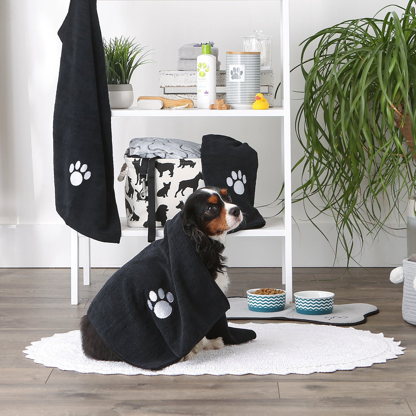 Bone Dry Small Pet Towel Set - 3 Pack - Embroidered Paw, Black, 15x30"