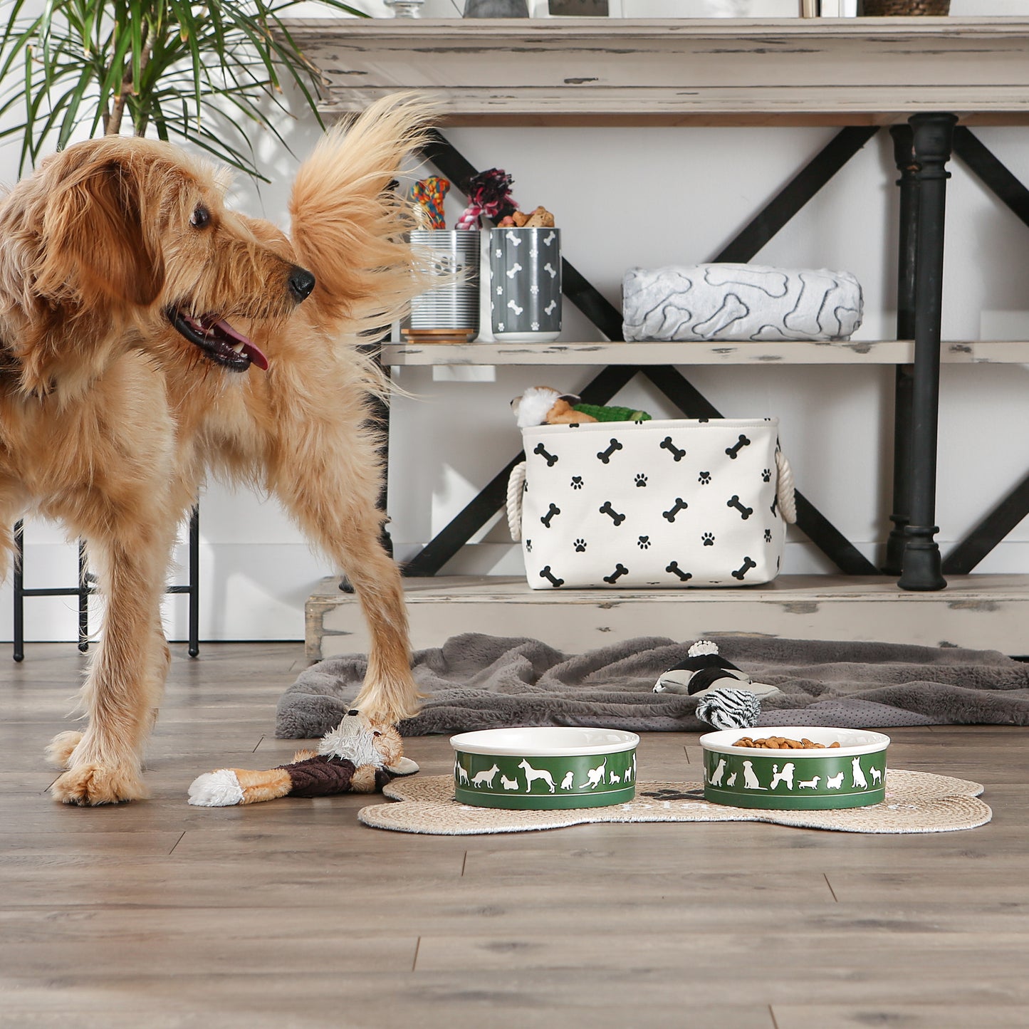 Hunter Green Dog Show Pet Bowl Set/2, Large 3.75 C. Capacity