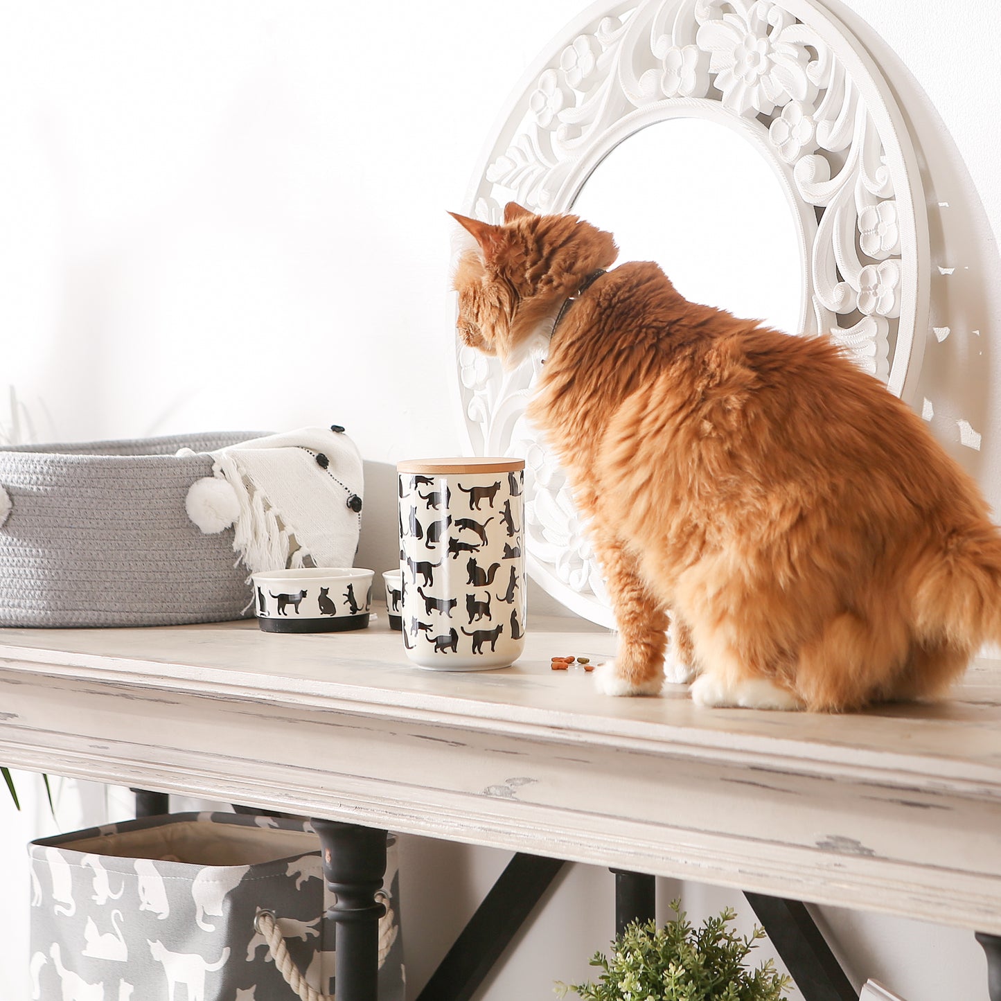 Black/White Cat's Meow Pet Treat Canister 4 Cup Capacity