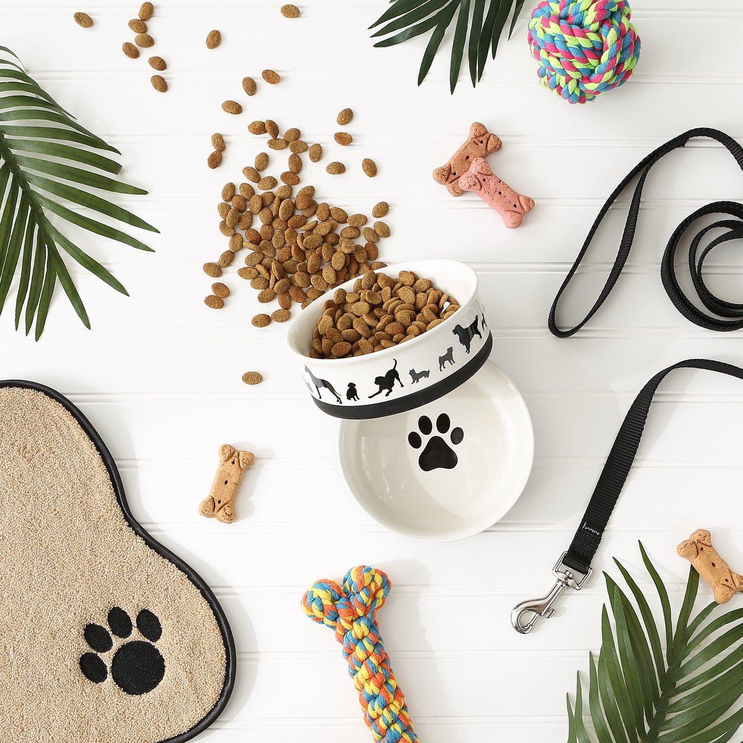 Pet Bowl Dog Show Medium 6Dx2H Set of 2
