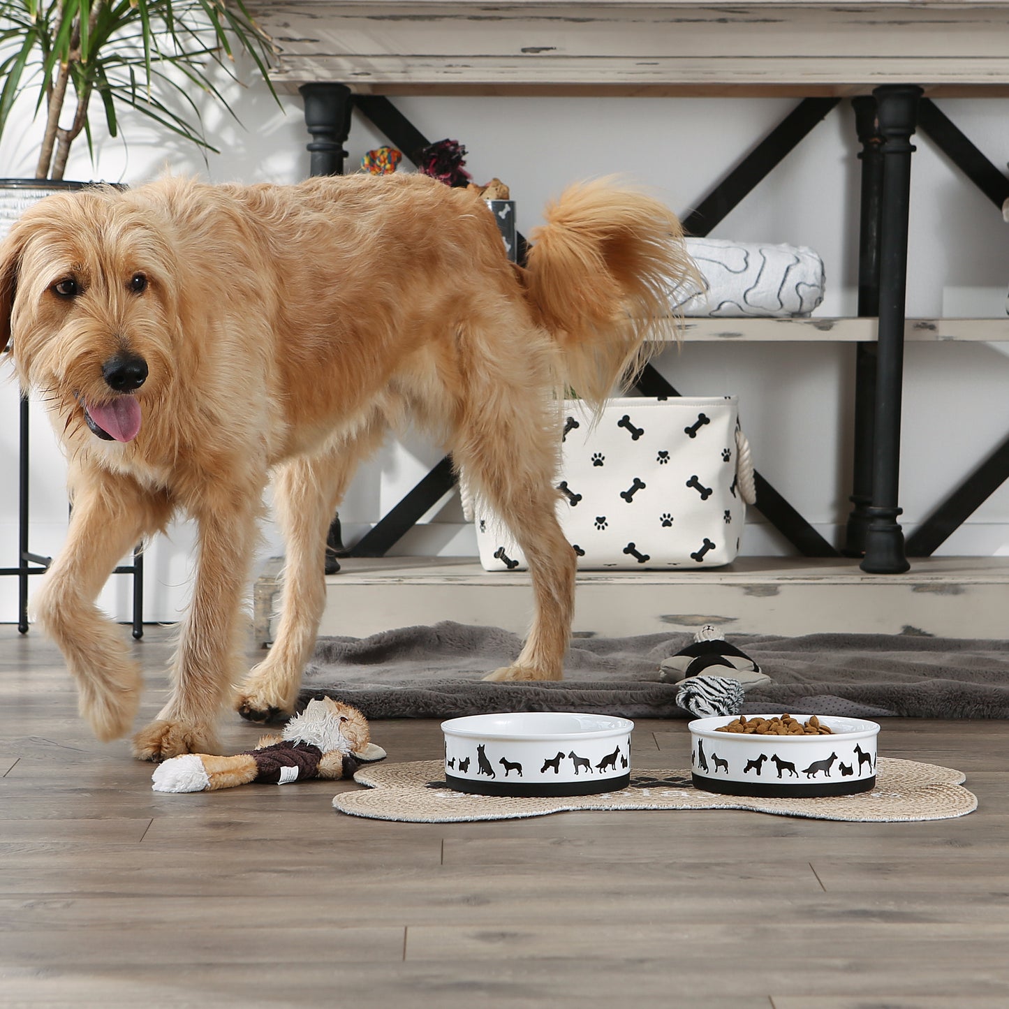 Black/White Dog Show Pet Bowl Set of 2, Large 3.75 C. Capacity